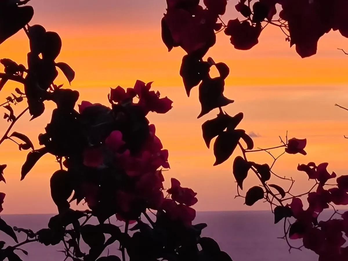 “Cielo E Mare”, Casetta Nel Cuore Del Borgo Antico / “Sky & Sea”, Charming In The Heart Of Old Village Кастельсардо Апартаменты